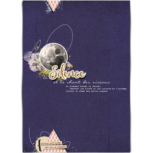 Le silence et le chant des oiseaux