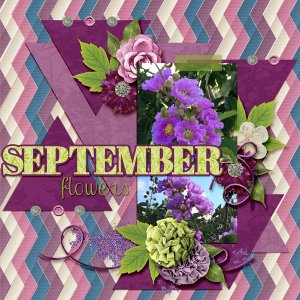 September Flowers