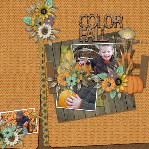 Color Fall