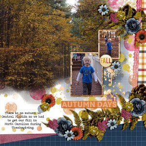 autumn-days-nc-2016