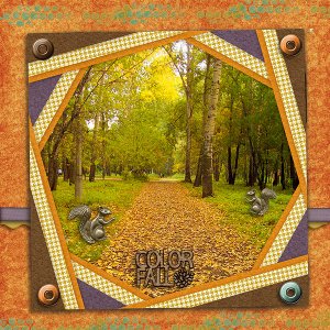Fall Color