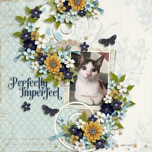 perfectly imperfect
