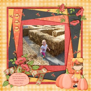 Hay Maze