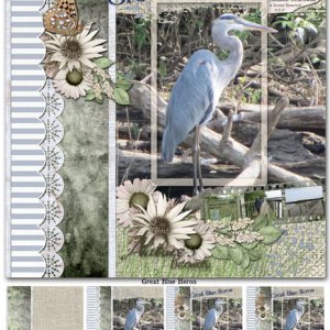 Great Blue Heron