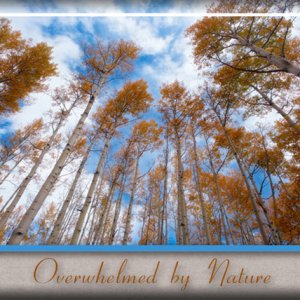 Overwhelmed by Nature