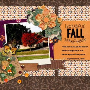 Beautiful Fall
