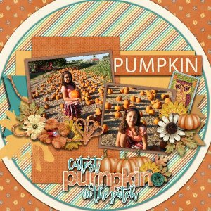 Pumpkins Galore