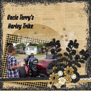 Harley Trike