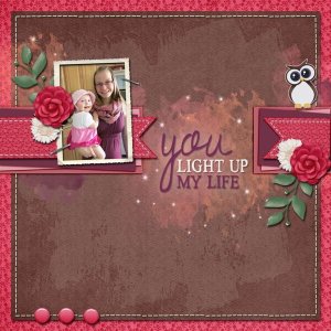 You Light Up My Life