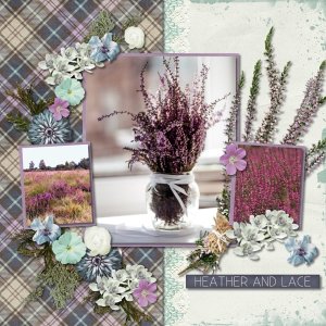 Morning Heather