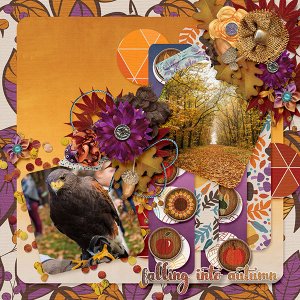 Falling into autumn