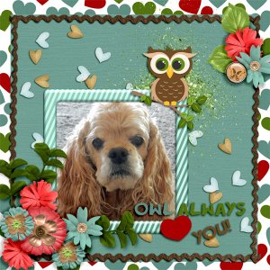 DD_Oct_BD_OwlAlwaysLoveYou_Pippin