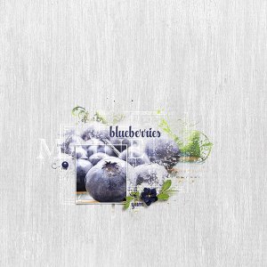 Maine Blueberries