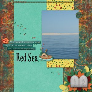 Red Sea