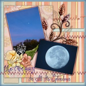 The Moon