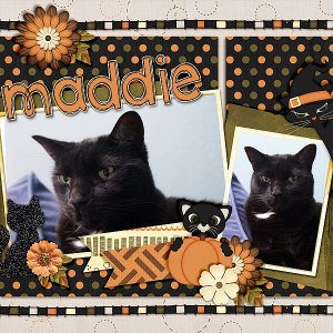 maddie-halloween-15