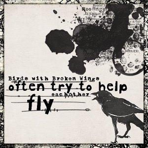 Broken Wing Bird