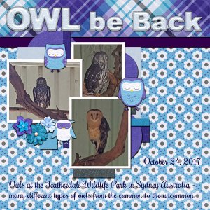 Owl Be Back