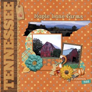 Maple Lane Farms