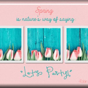 ATC 2017-160 Spring