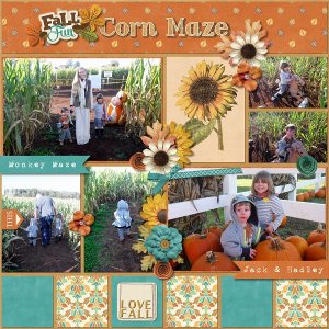 Corn Maze