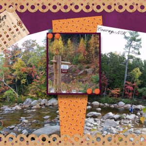 White Mountains color