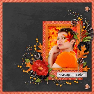 season-of-colors