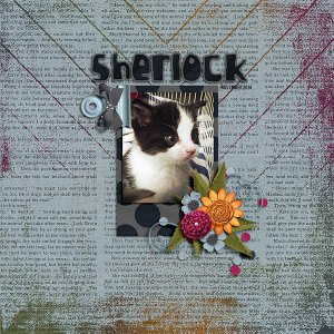 sherlock