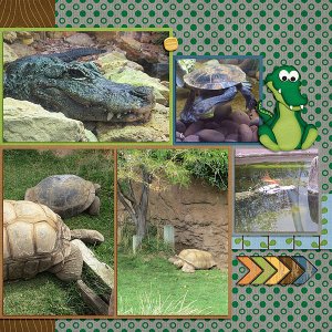Albuquerque Zoo 3 (right)