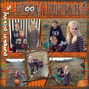 Pumpkin Picking at Moon Pumpkins