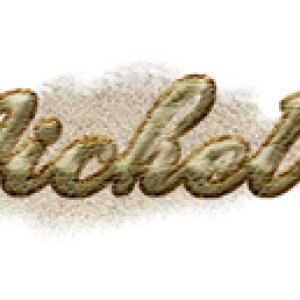 Michelle Sig 11-17