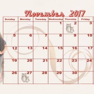 201711 Calendar