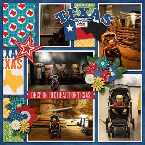 texas-state-museum