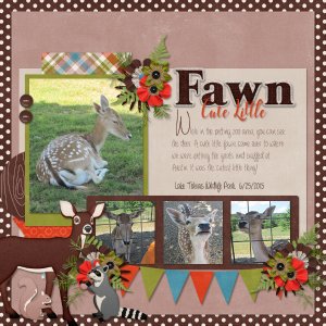 Cute Little Fawn