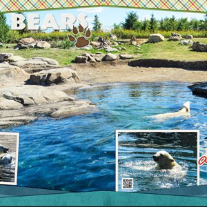 Polar Bears at the Columbus Zoo