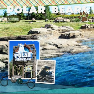 Polar Bears at the Columbus Zoo, right side, (Color Challenge)