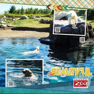 Polar Bears at the Columbus Zoo, right side (WA Challenge)