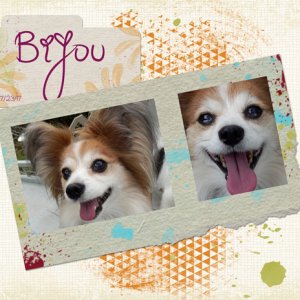 Bijou