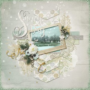 Snowy Day