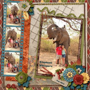 Elephant Whispers-ddnd-ATPumpkinPatch