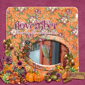 November8
