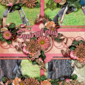 Squirrel-play