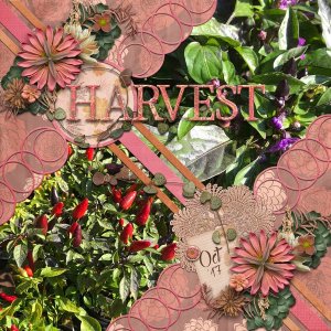 Harvest