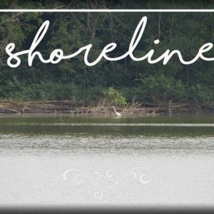 shoreline