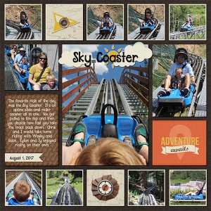 Snowbird Sky Coaster