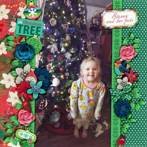 O Christmas tRee with pets