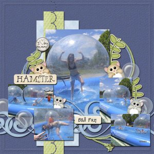 Hampster Ball Fun