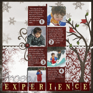 Frosty Experiences