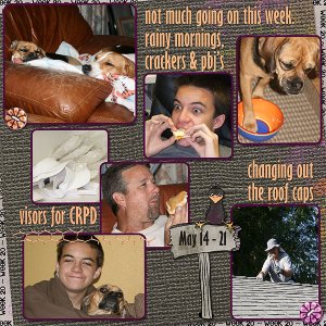 Lisa's Week Twenty