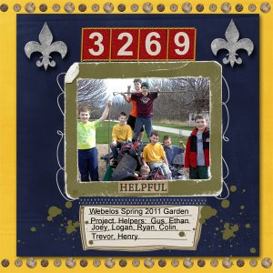 Webelos Garden Project